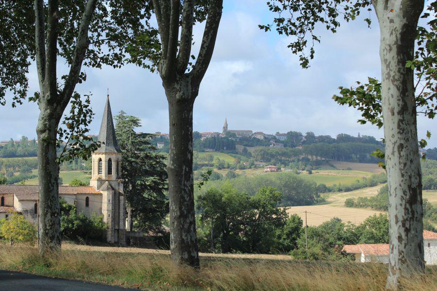 Lazing in the Languedoc - Travel with Penelope & Parker